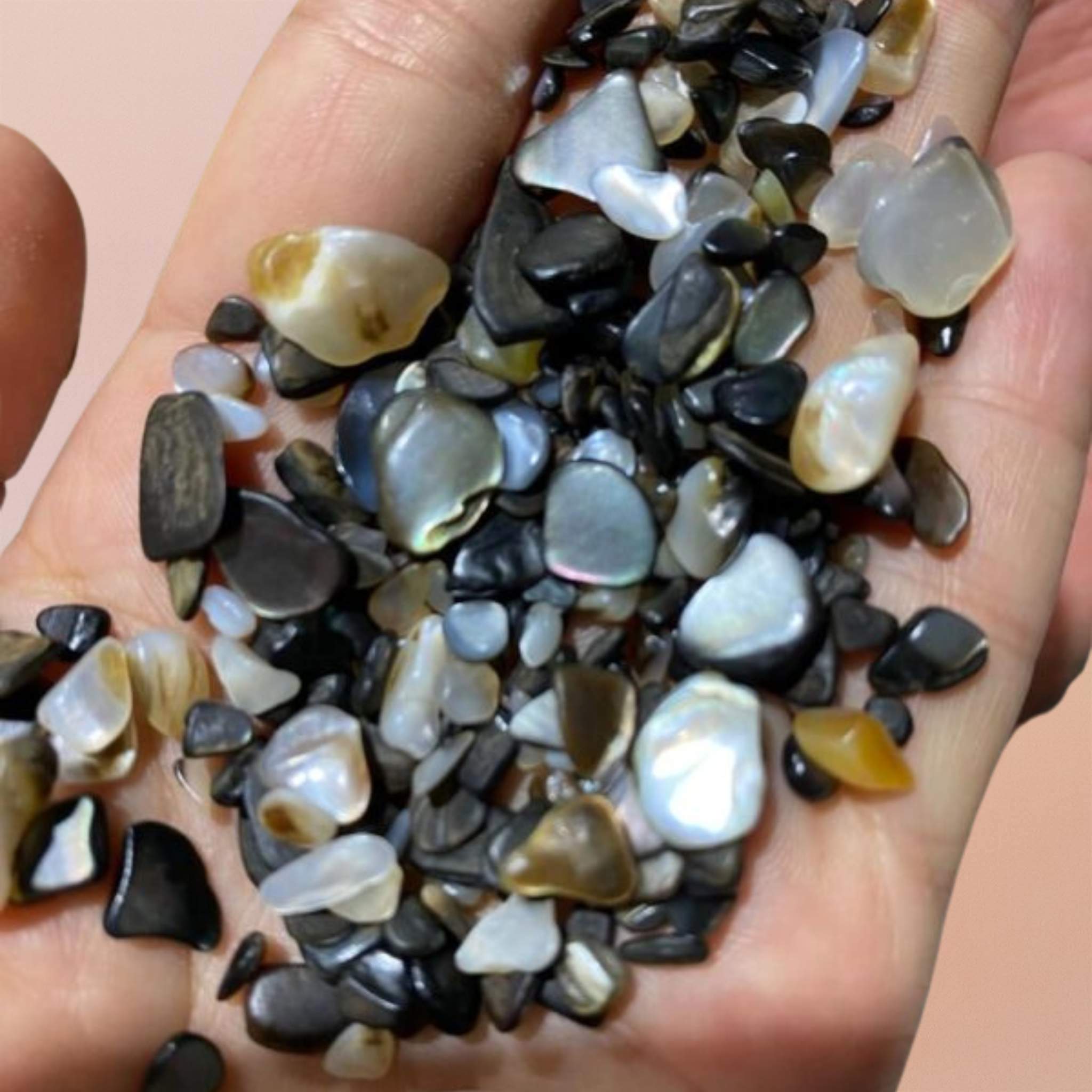 Polished Crushed Black Mother of Pearl Shell Chips for DIY Crafts