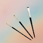 Pourezy Assorted Paint Brush Set