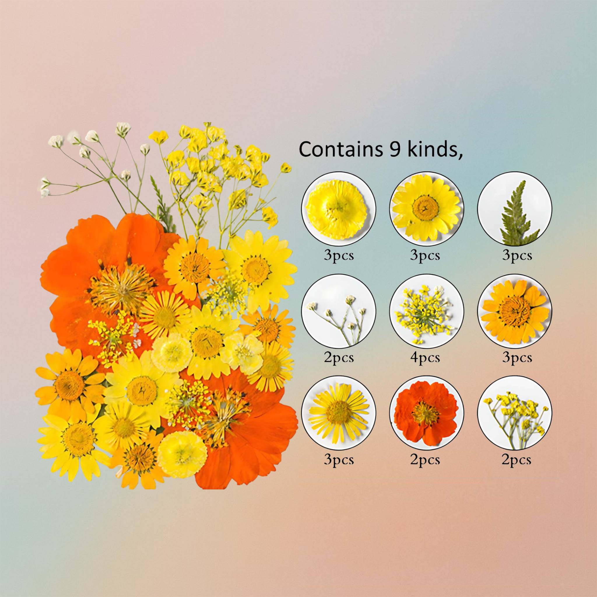 Pressed Flower – F14