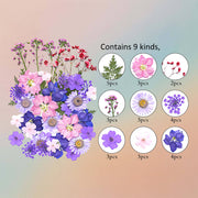 Pressed Flower – F15