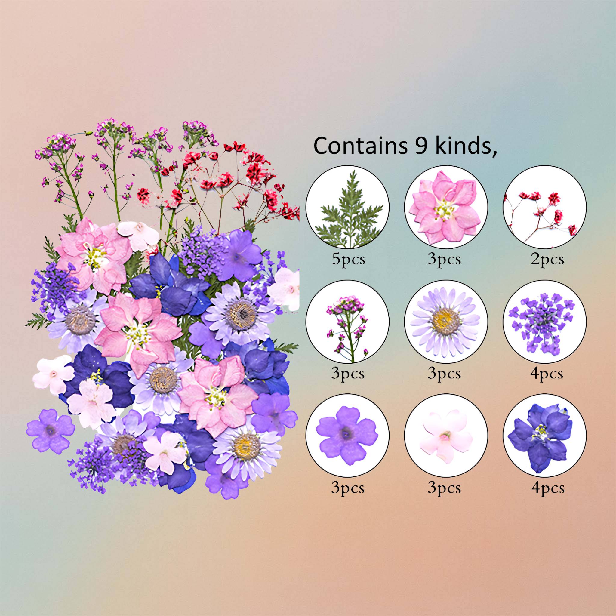 Pressed Flower – F15