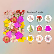 Pressed Flower – F16