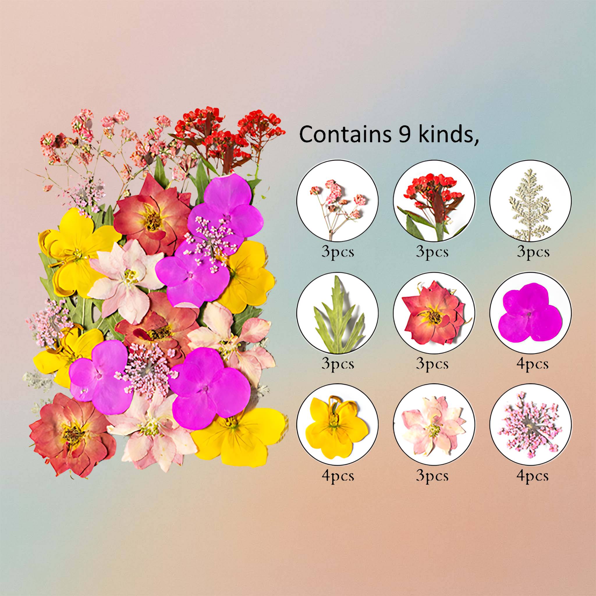 Pressed Flower – F16