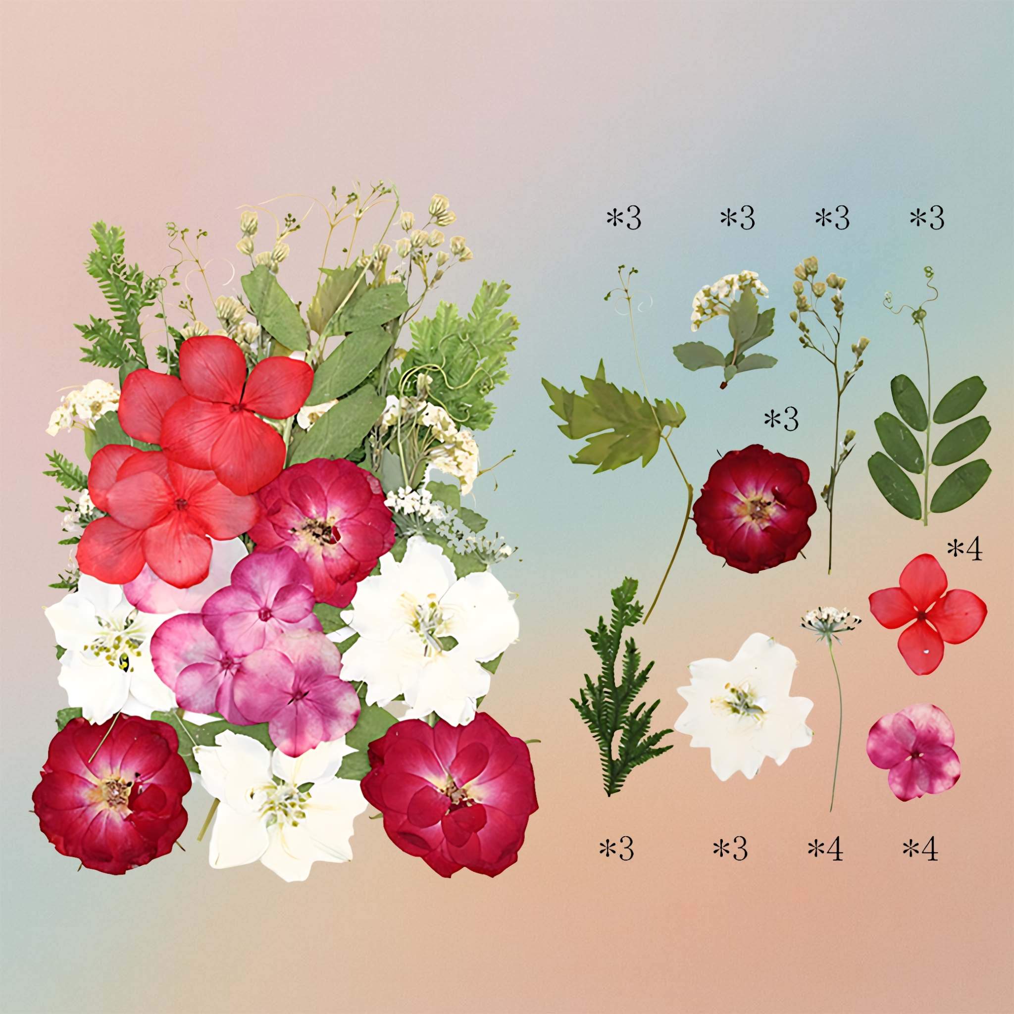 Pressed Flower – F17