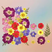 Pressed Flower – F19