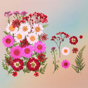 Pressed Flower – F20