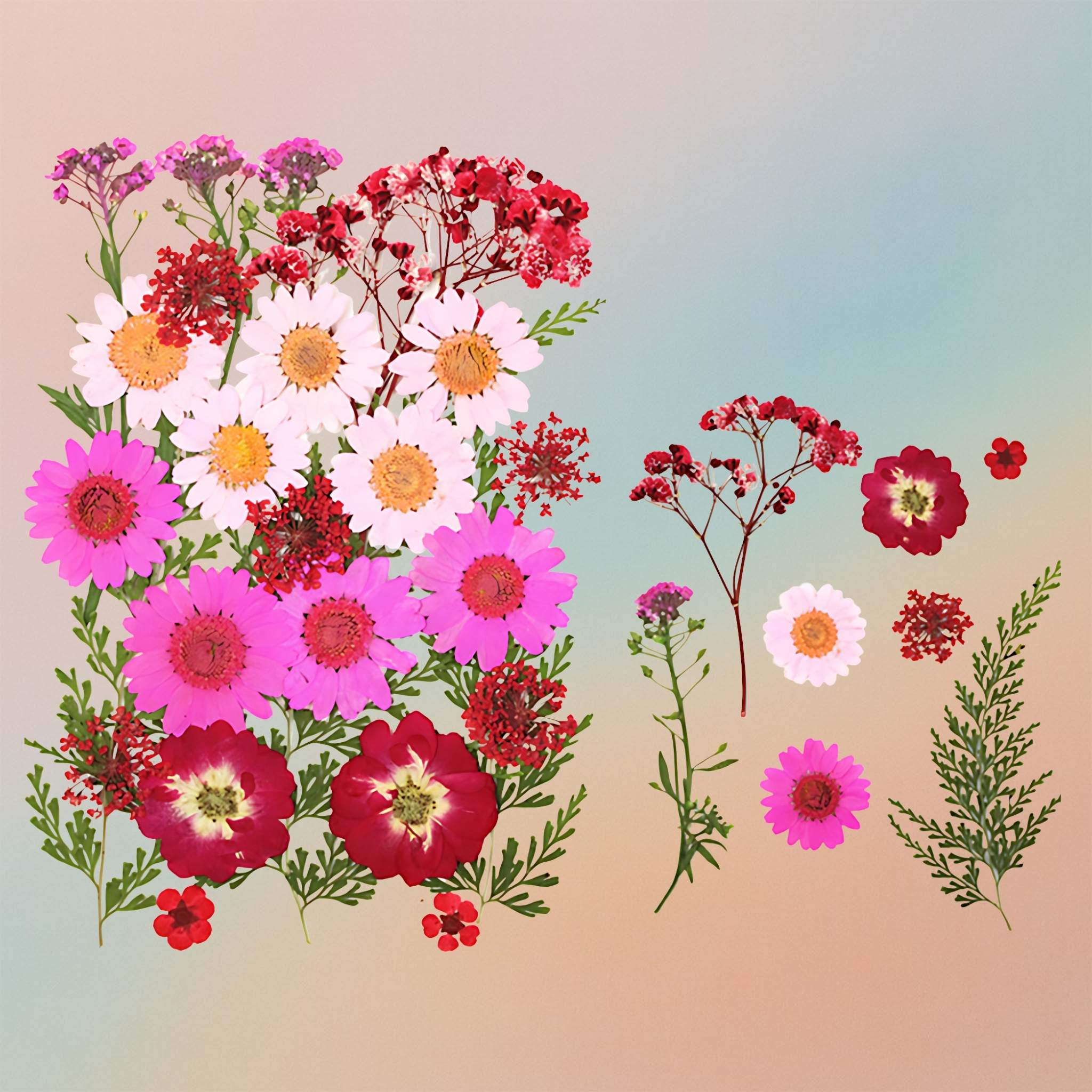 Pressed Flower – F20