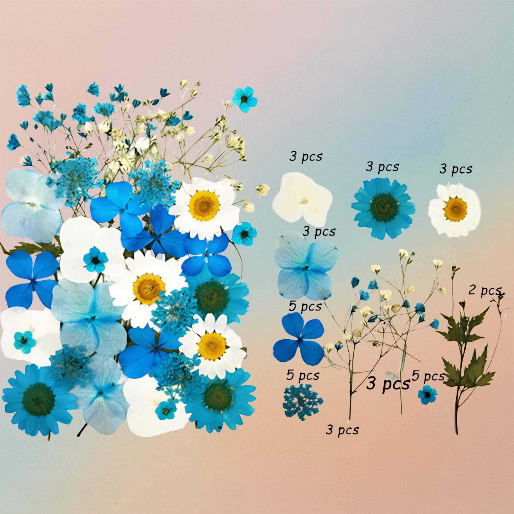 Pressed Flower – F22