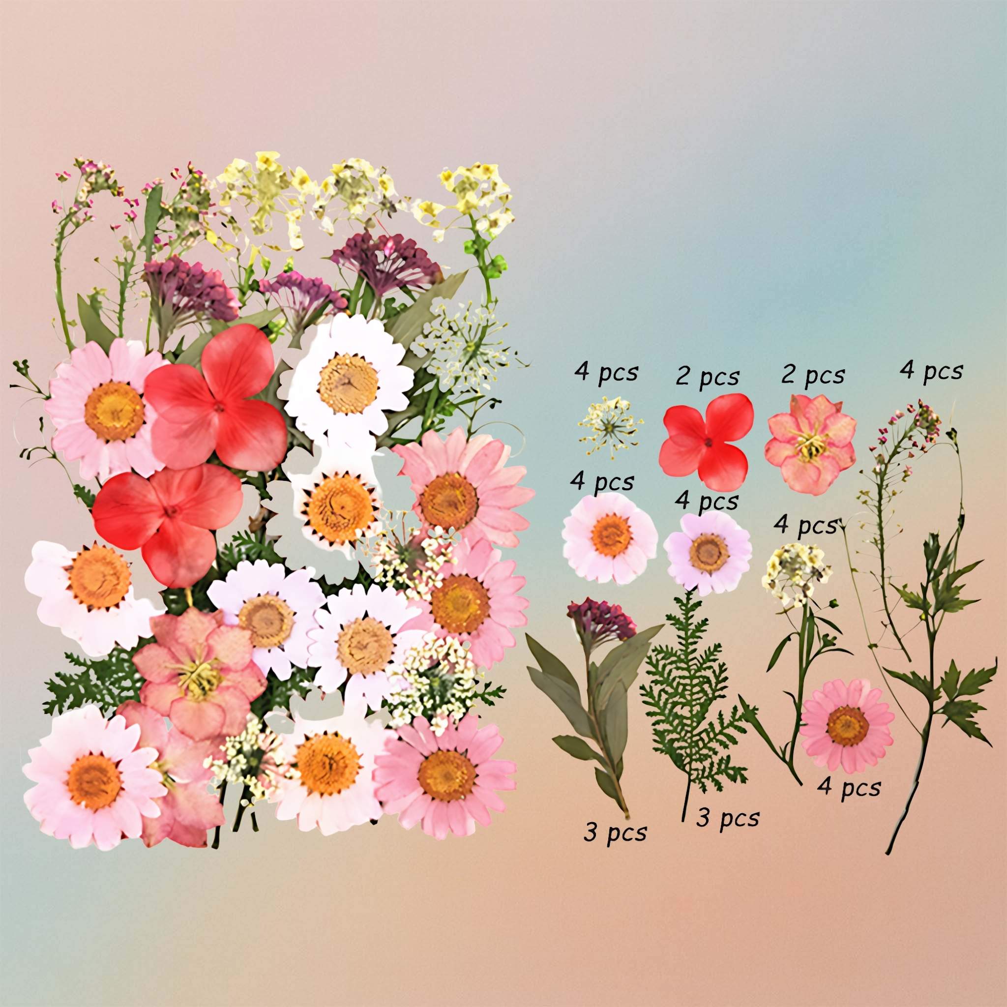 Pressed Flower – F24