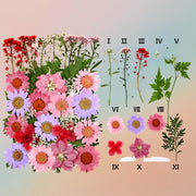 Pressed Flower – F26