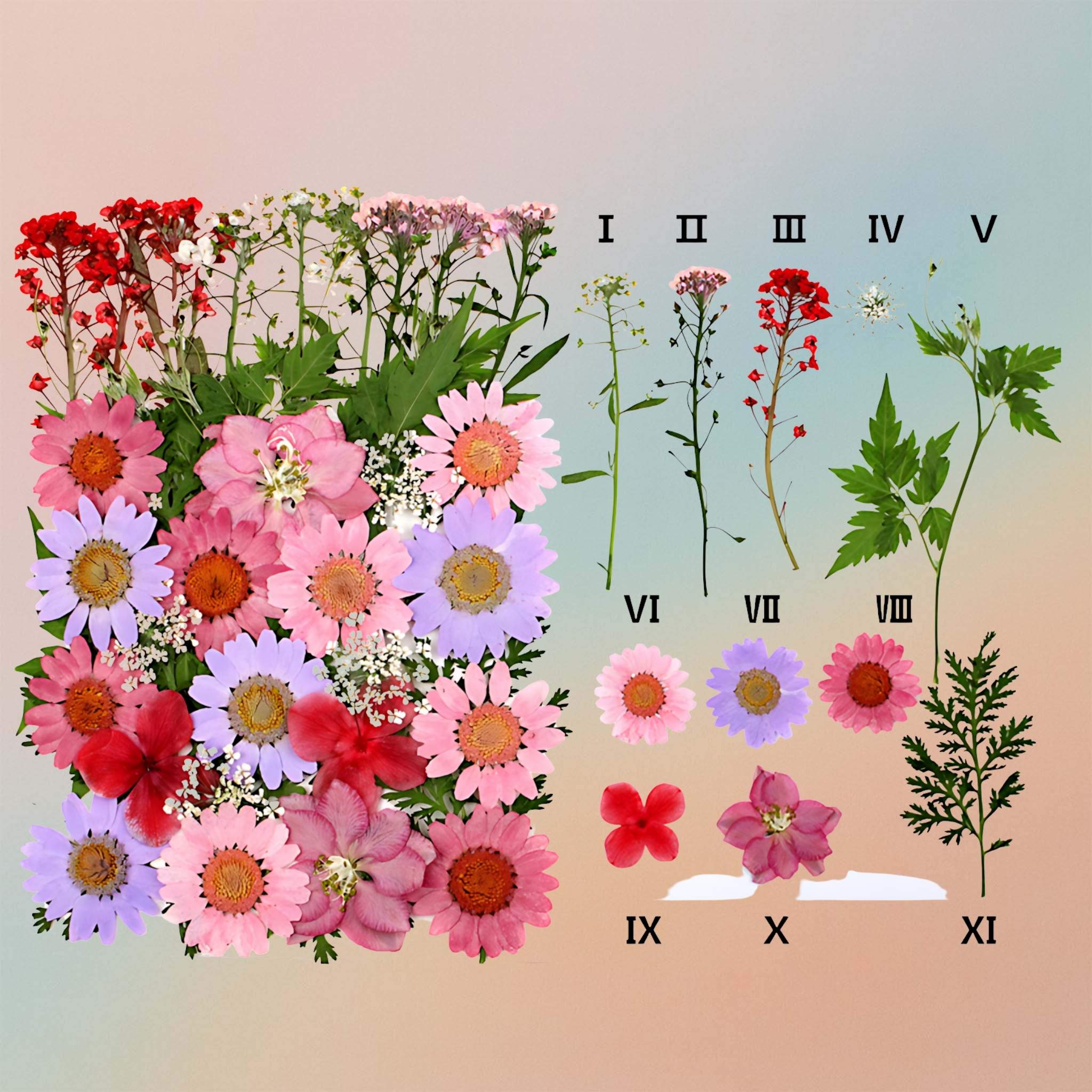 Pressed Flower – F26