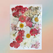 Pressed Flower – F28