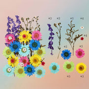 Pressed Flower – F29