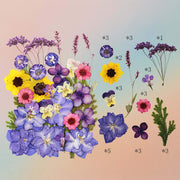 Pressed Flower – F30