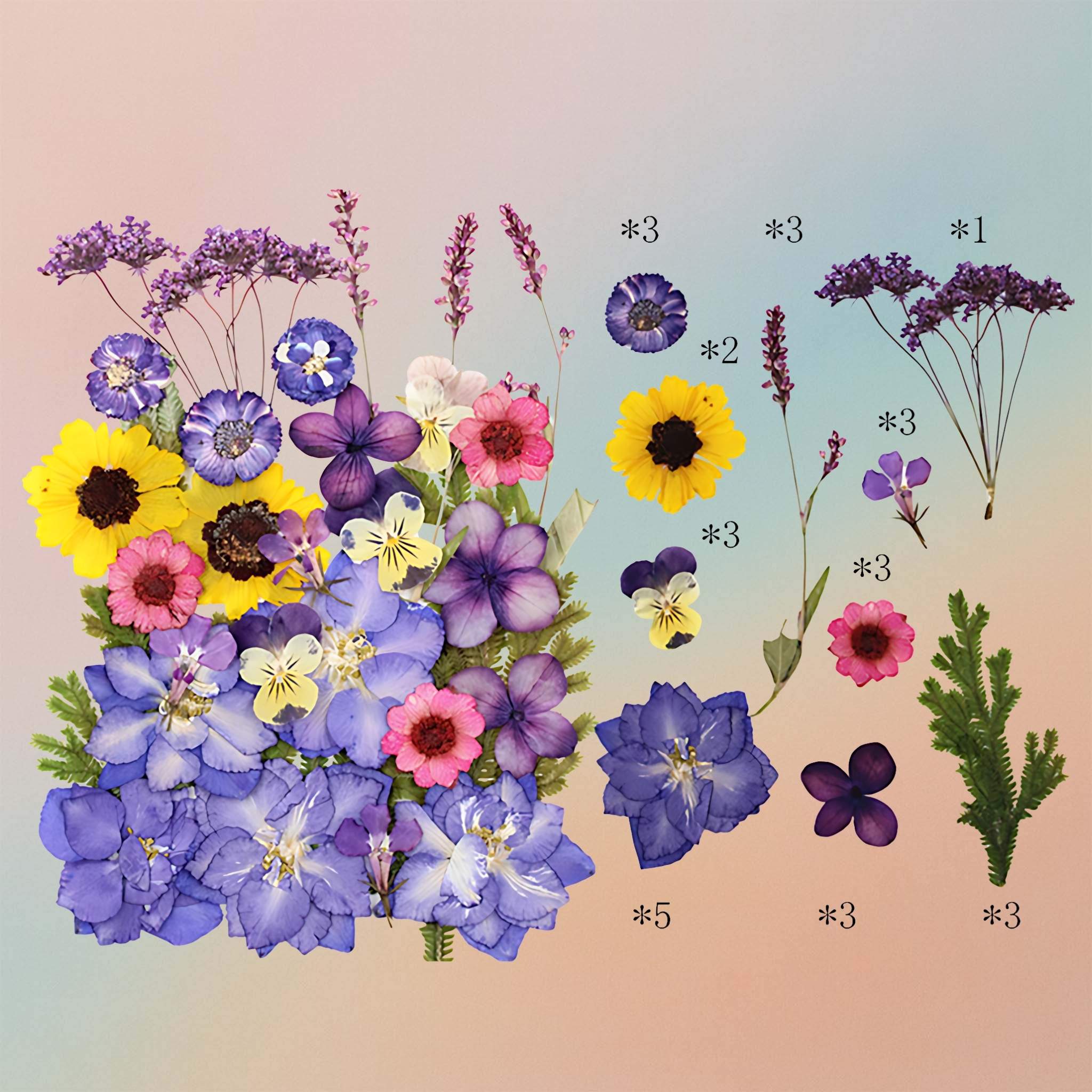 Pressed Flower – F30