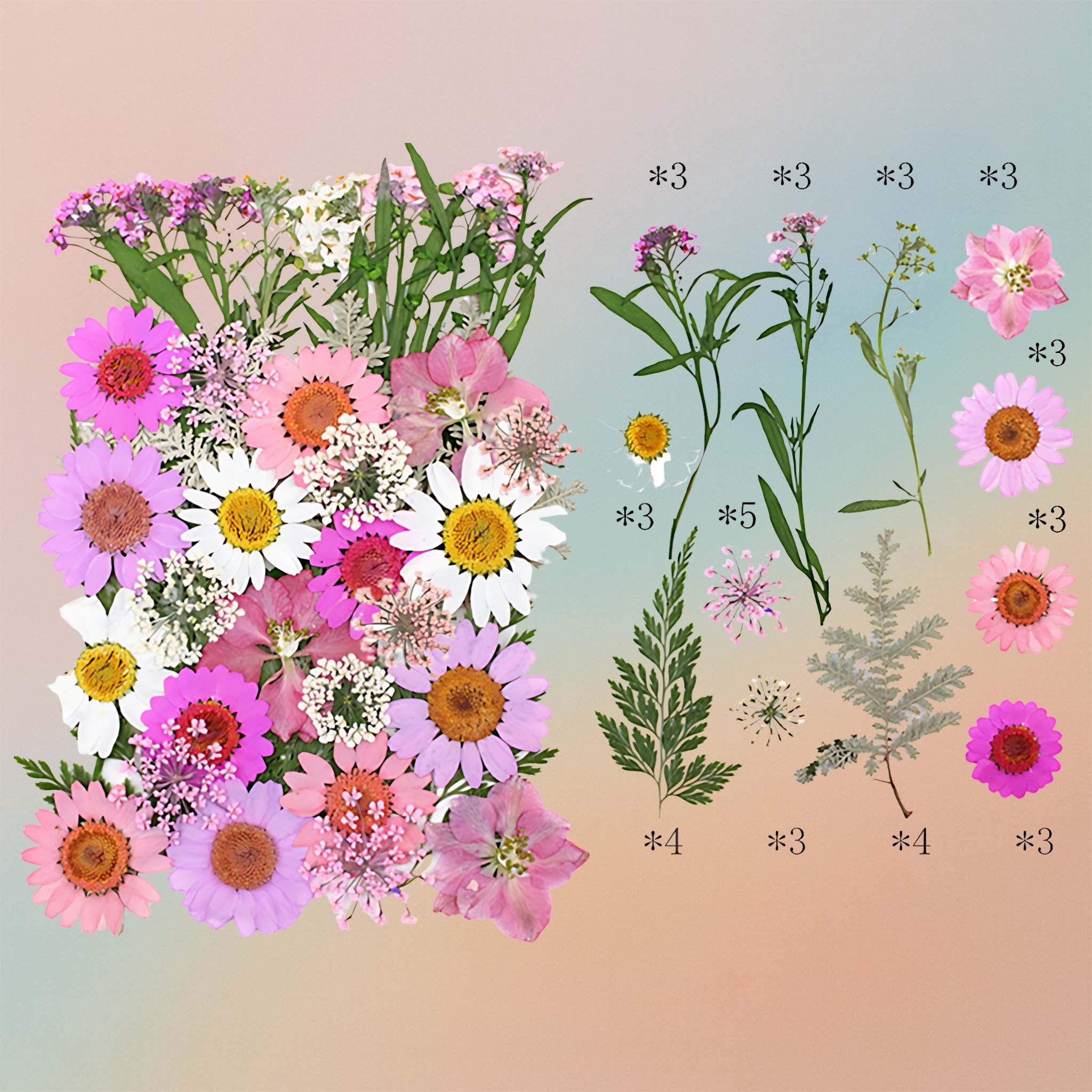 Pressed Flower – F32