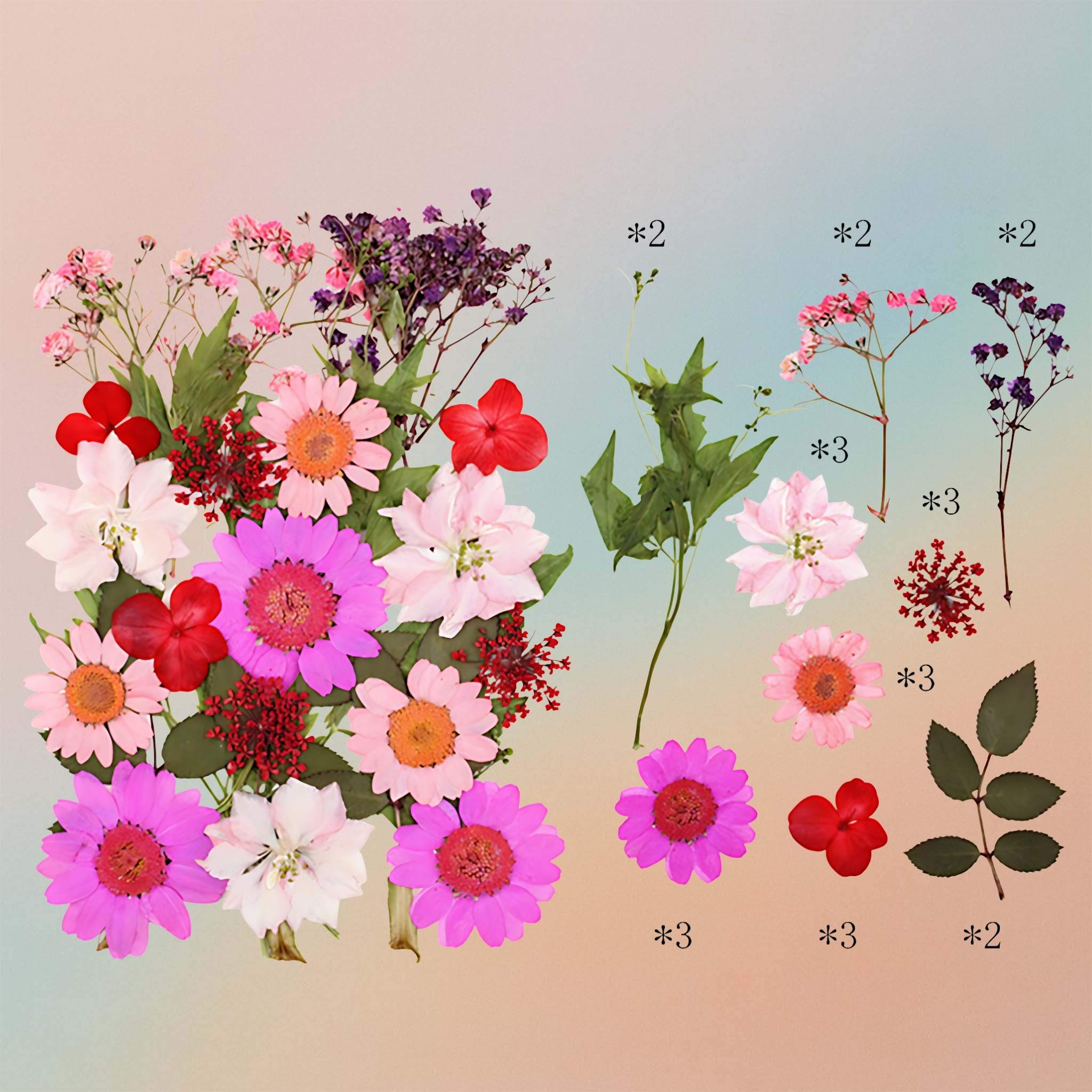 زهرة مضغوطة – F46