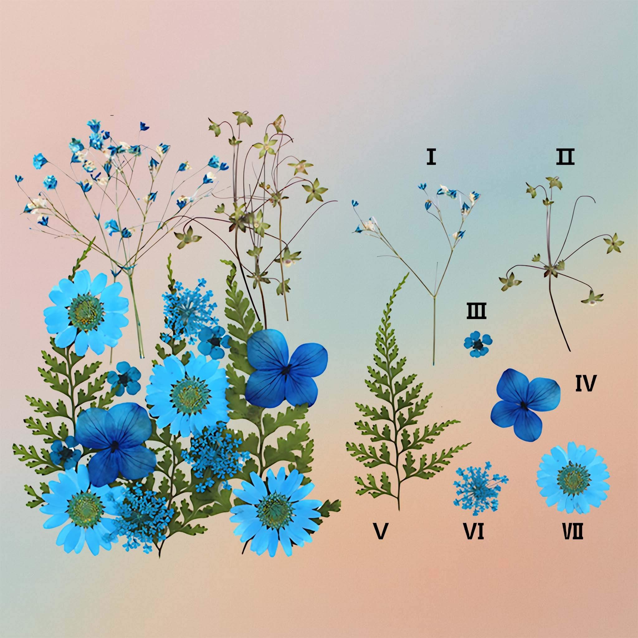 زهرة مضغوطة – F47