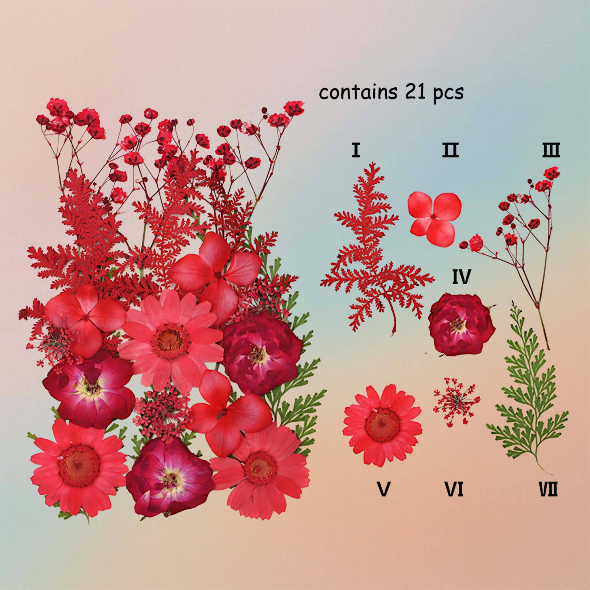 زهرة مضغوطة – F49