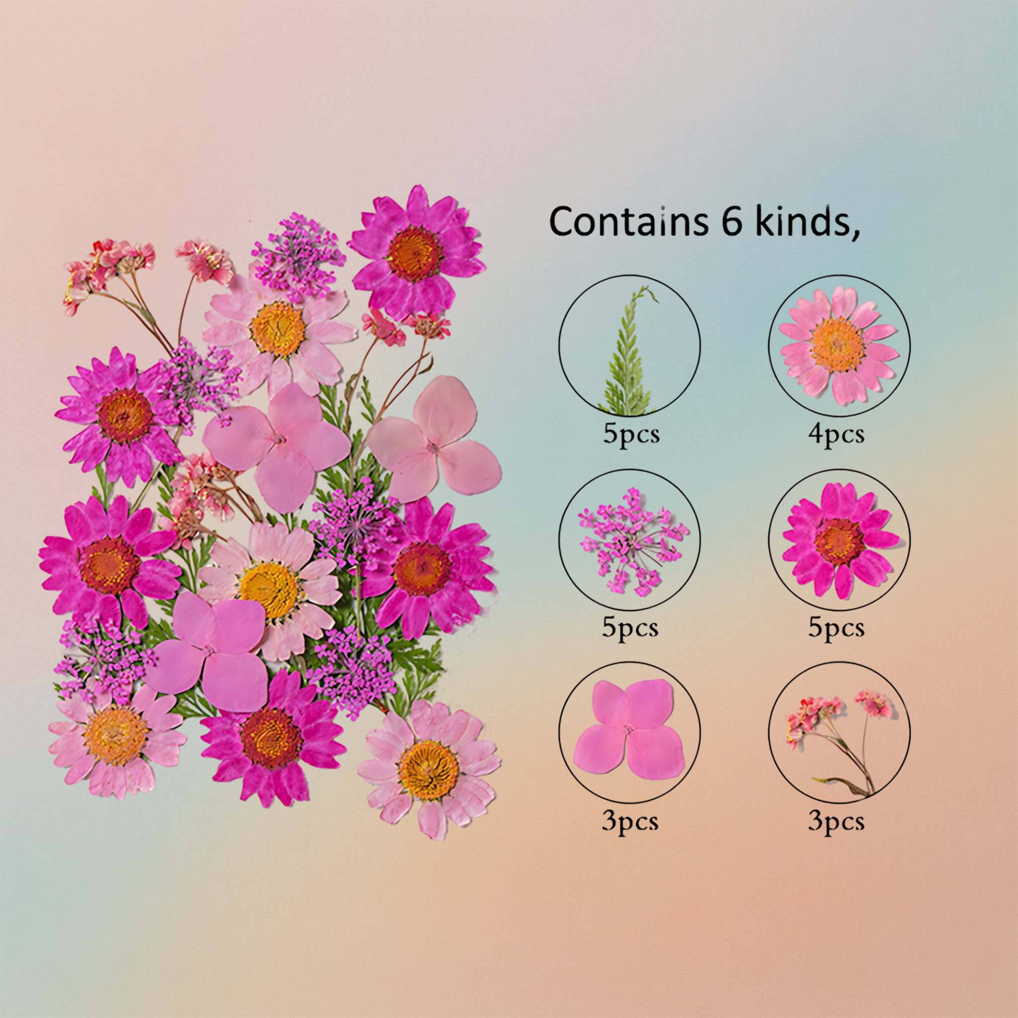 زهرة مضغوطة – F50