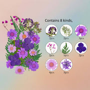 زهرة مضغوطة – F51