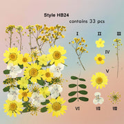 زهرة مضغوطة – F52