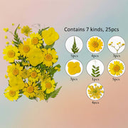 زهرة مضغوطة – F53