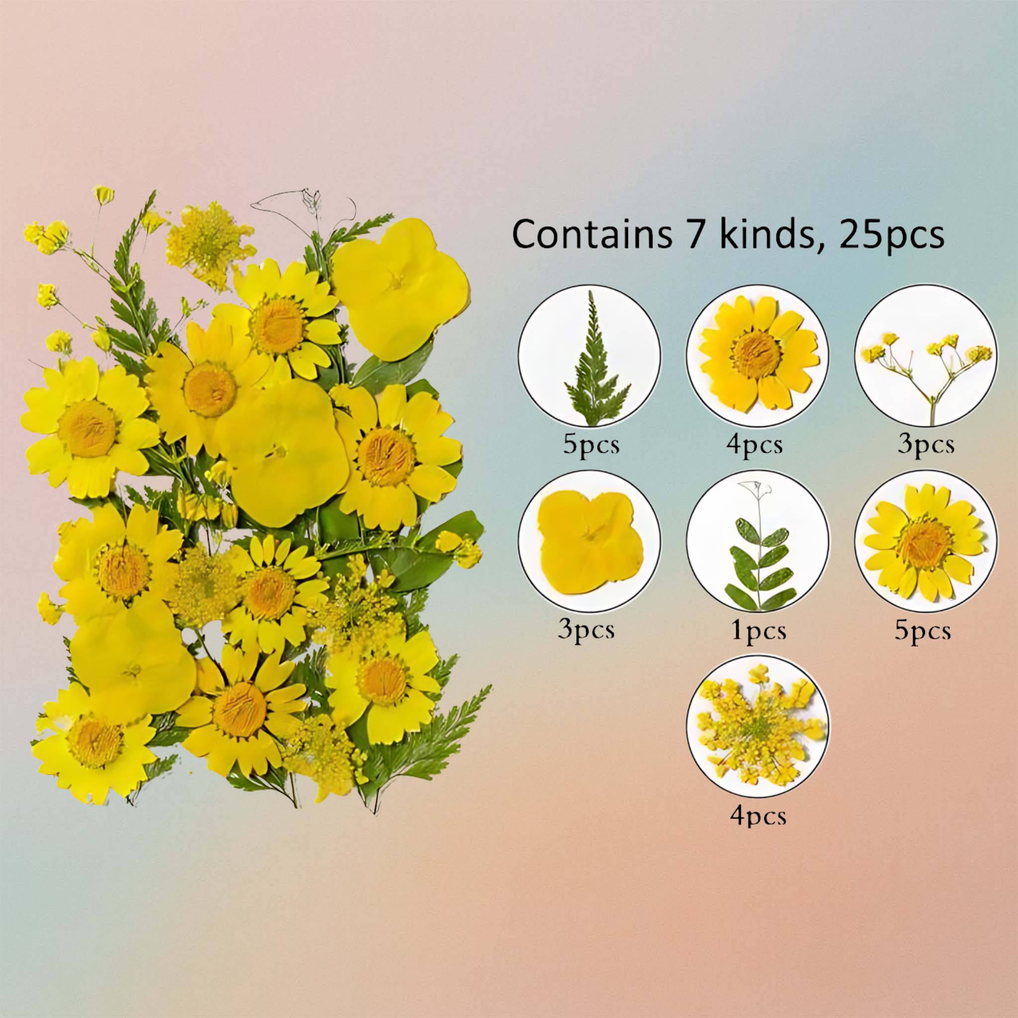 زهرة مضغوطة – F53