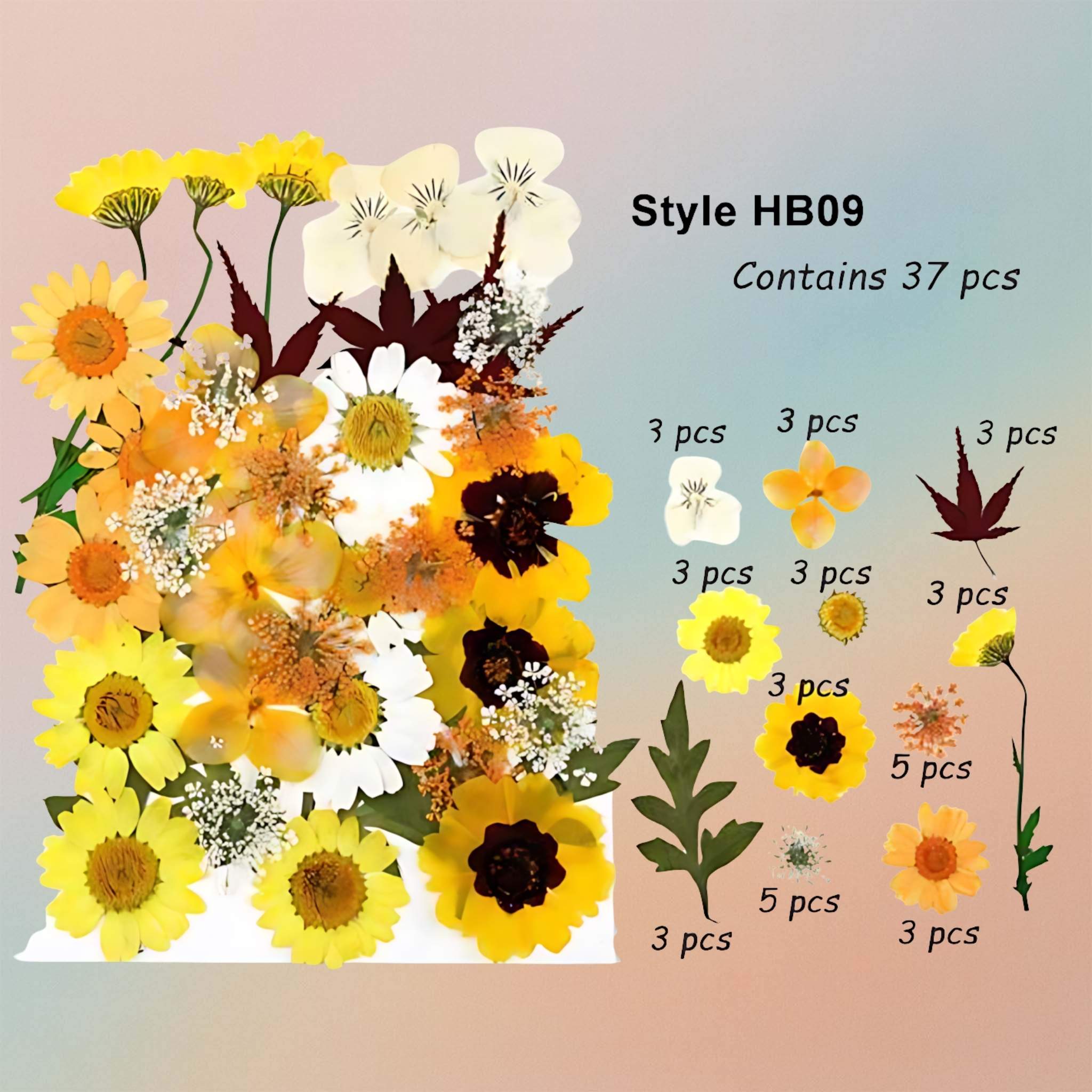 زهرة مضغوطة – F54