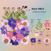 زهرة مضغوطة – F55