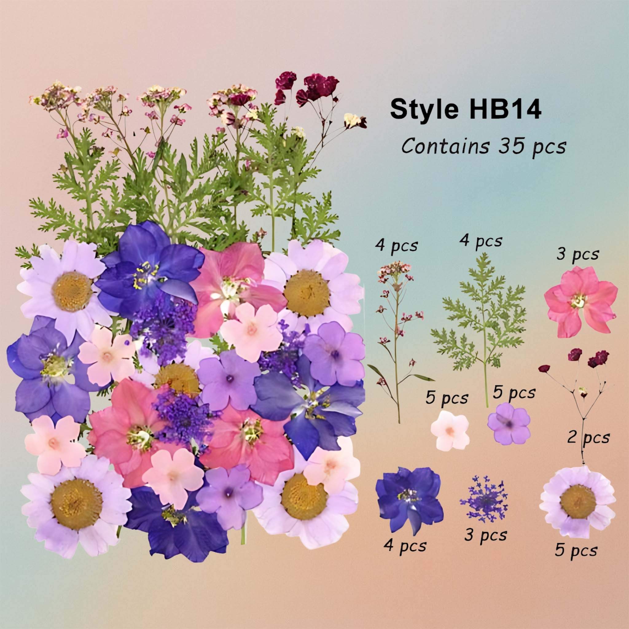 زهرة مضغوطة – F55