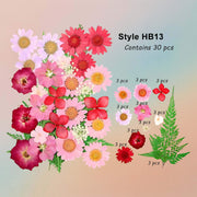 زهرة مضغوطة – F56