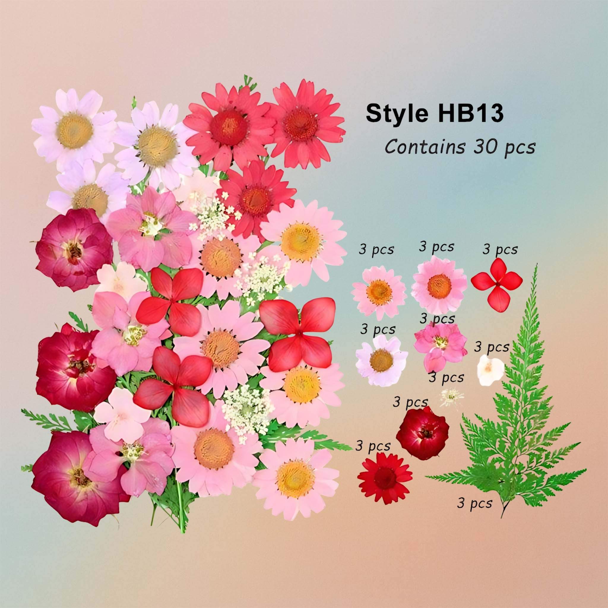 زهرة مضغوطة – F56