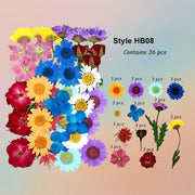 زهرة مضغوطة – F57