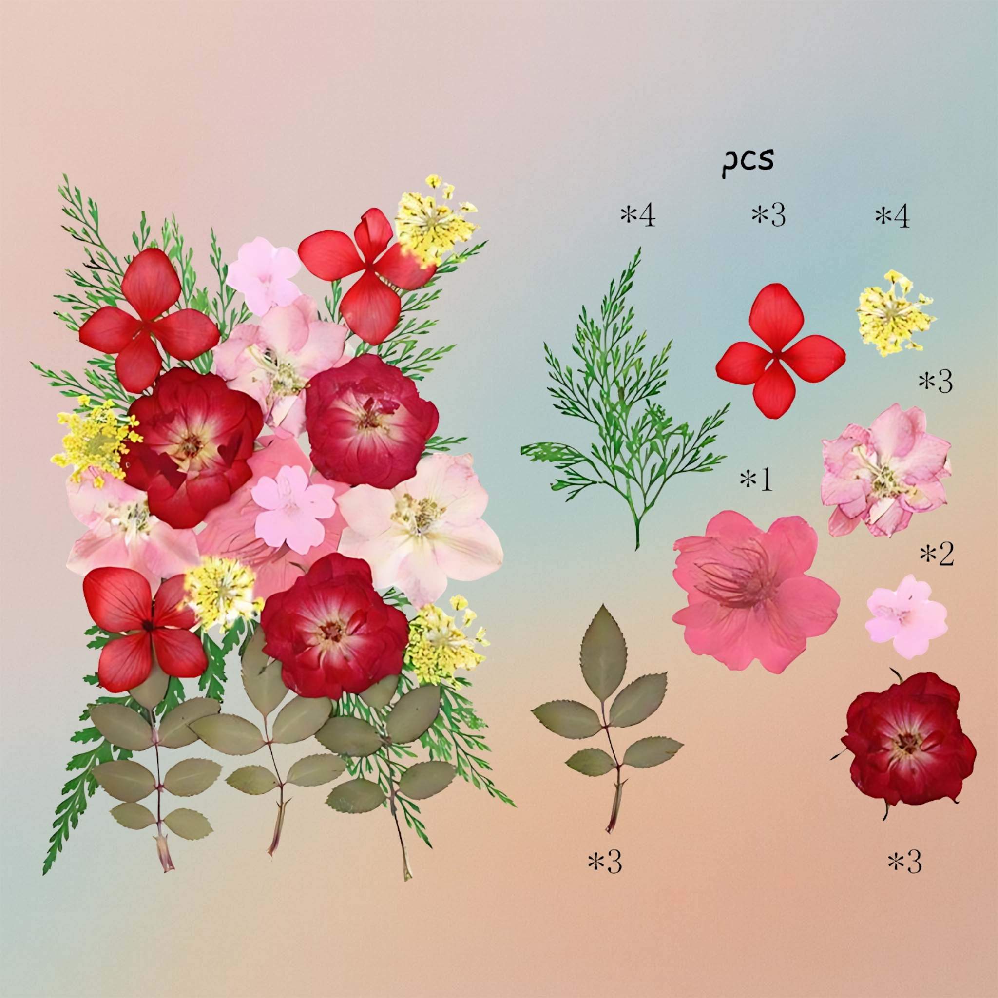 زهرة مضغوطة – F58