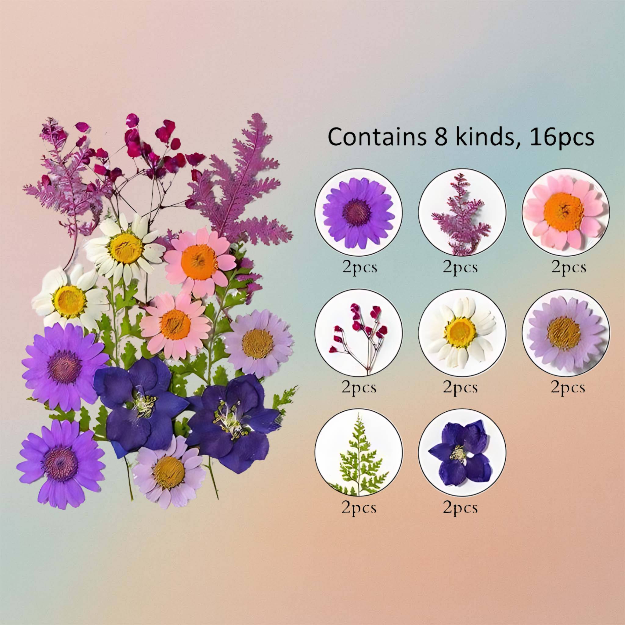 زهرة مضغوطة – F59