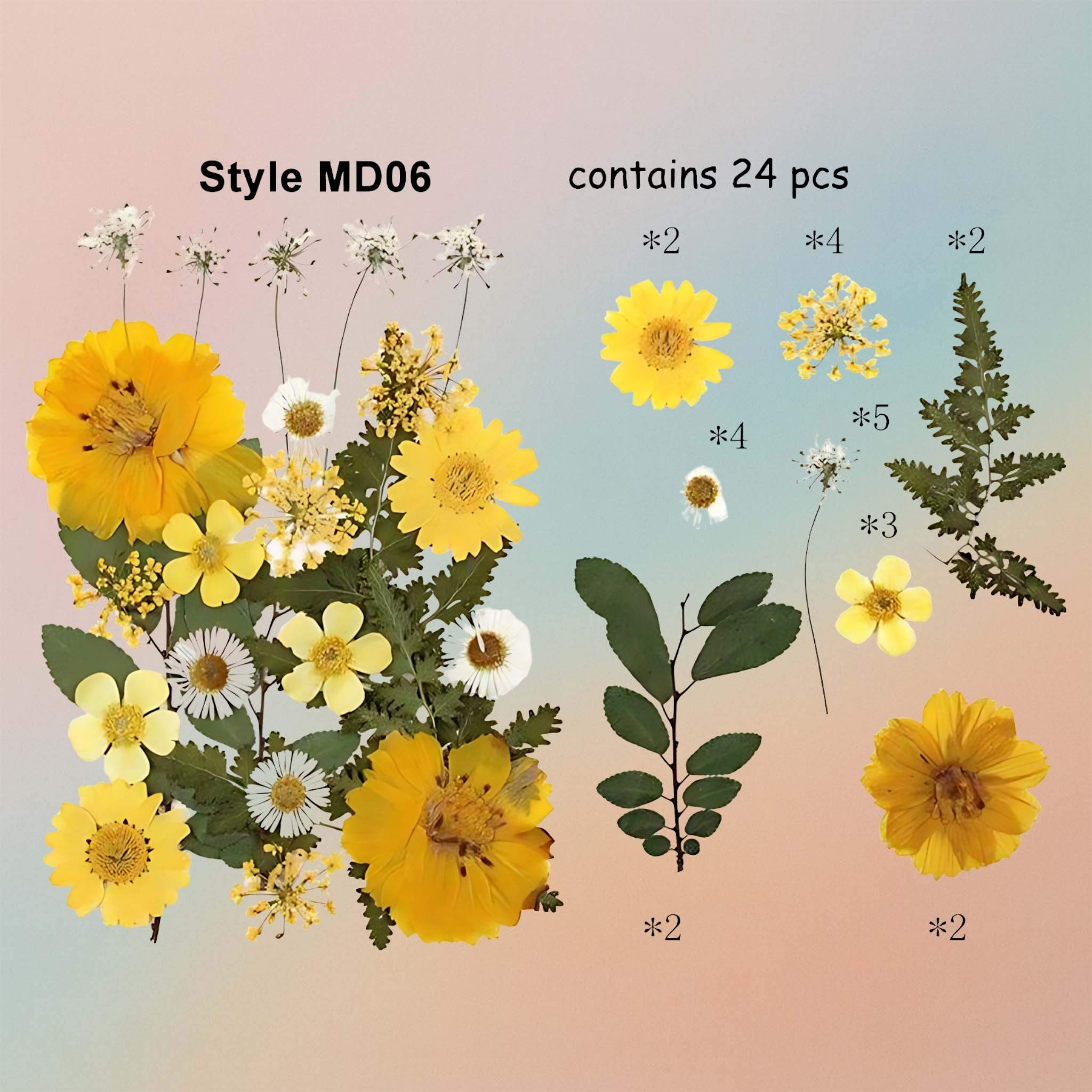 زهرة مضغوطة – F60