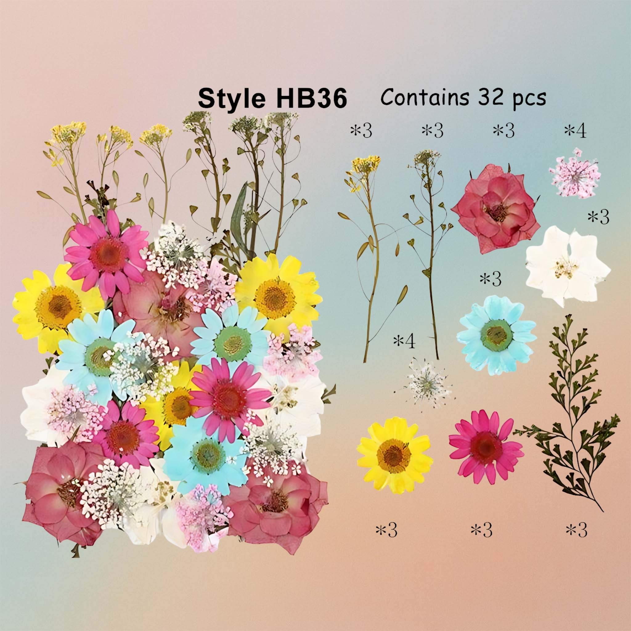 زهرة مضغوطة – F61