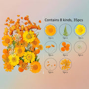 Pressed Flower – F62