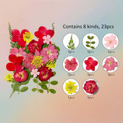 Pressed Flower – F63