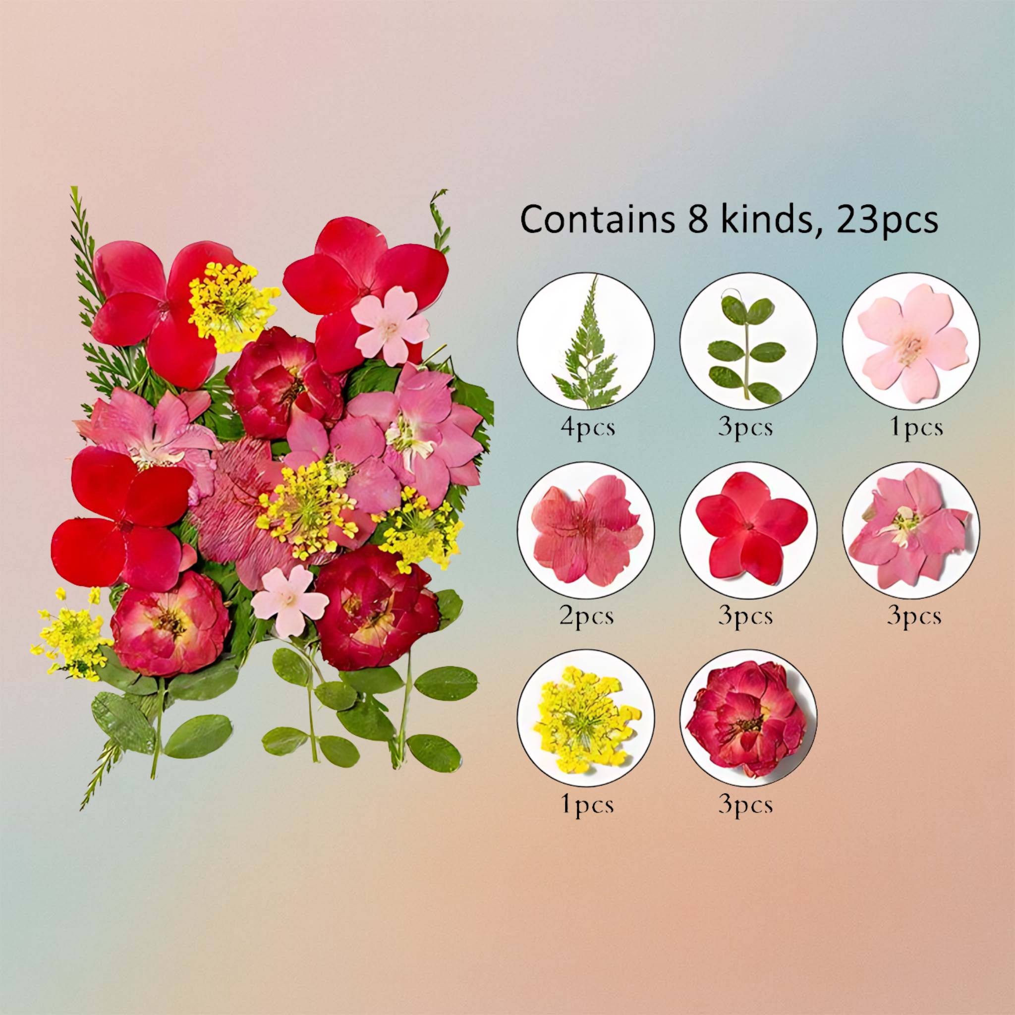 زهرة مضغوطة – F63