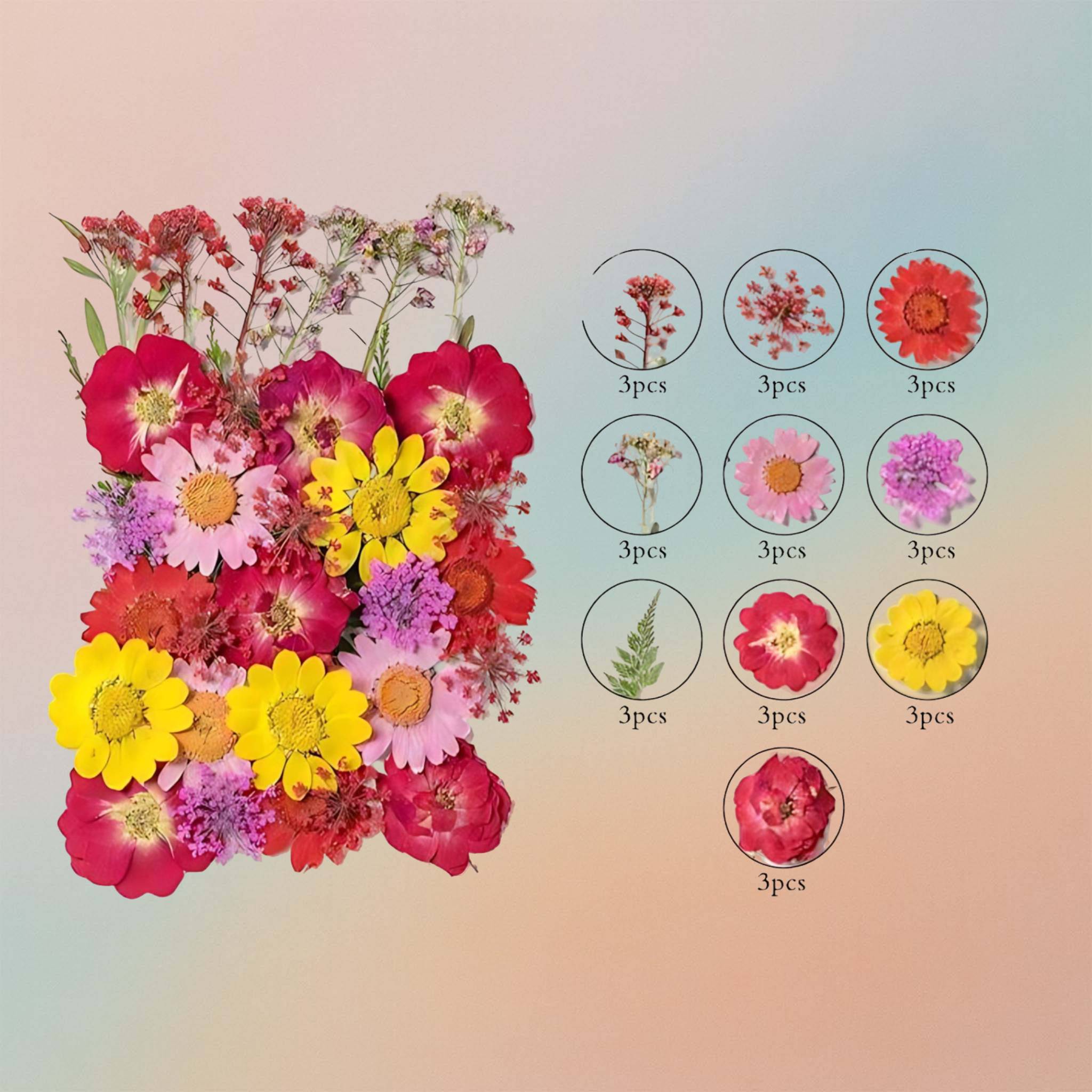 Pressed Flower – F64