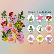 Pressed Flower – F66