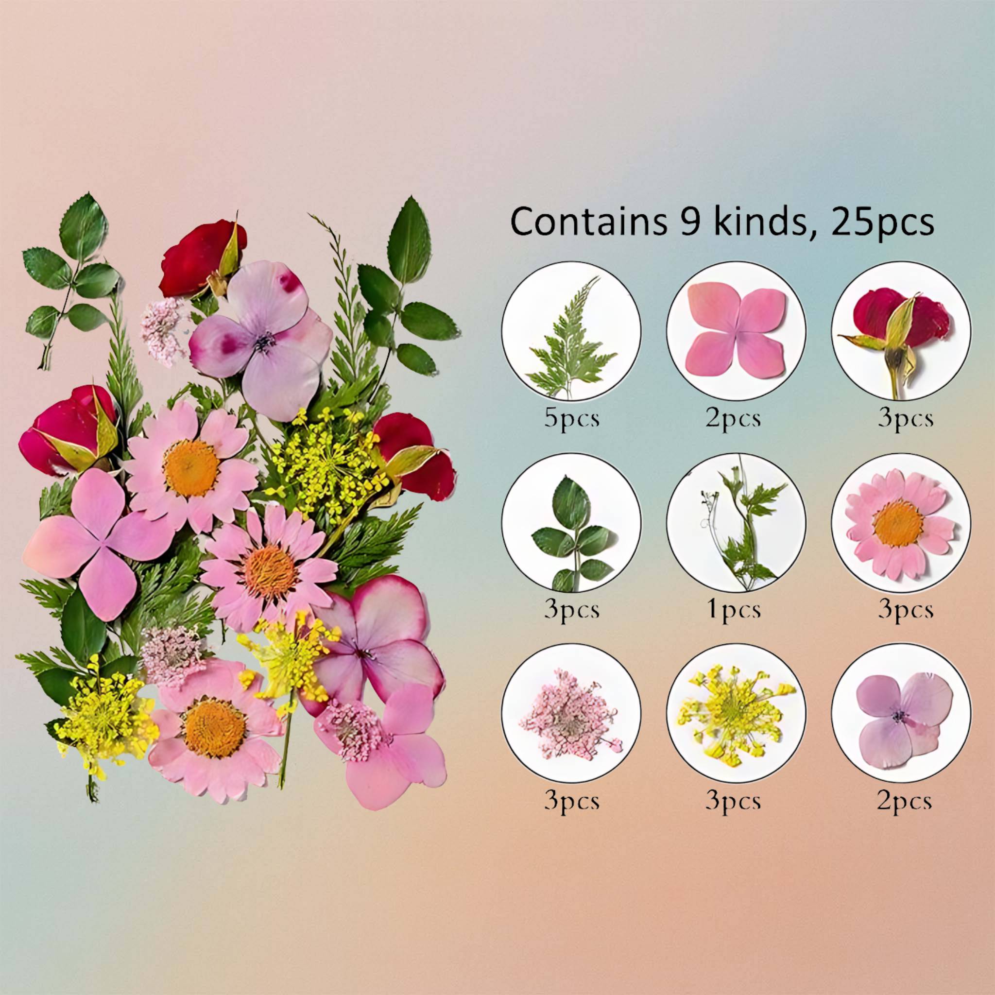 Pressed Flower – F66