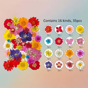 Pressed Flower – F67