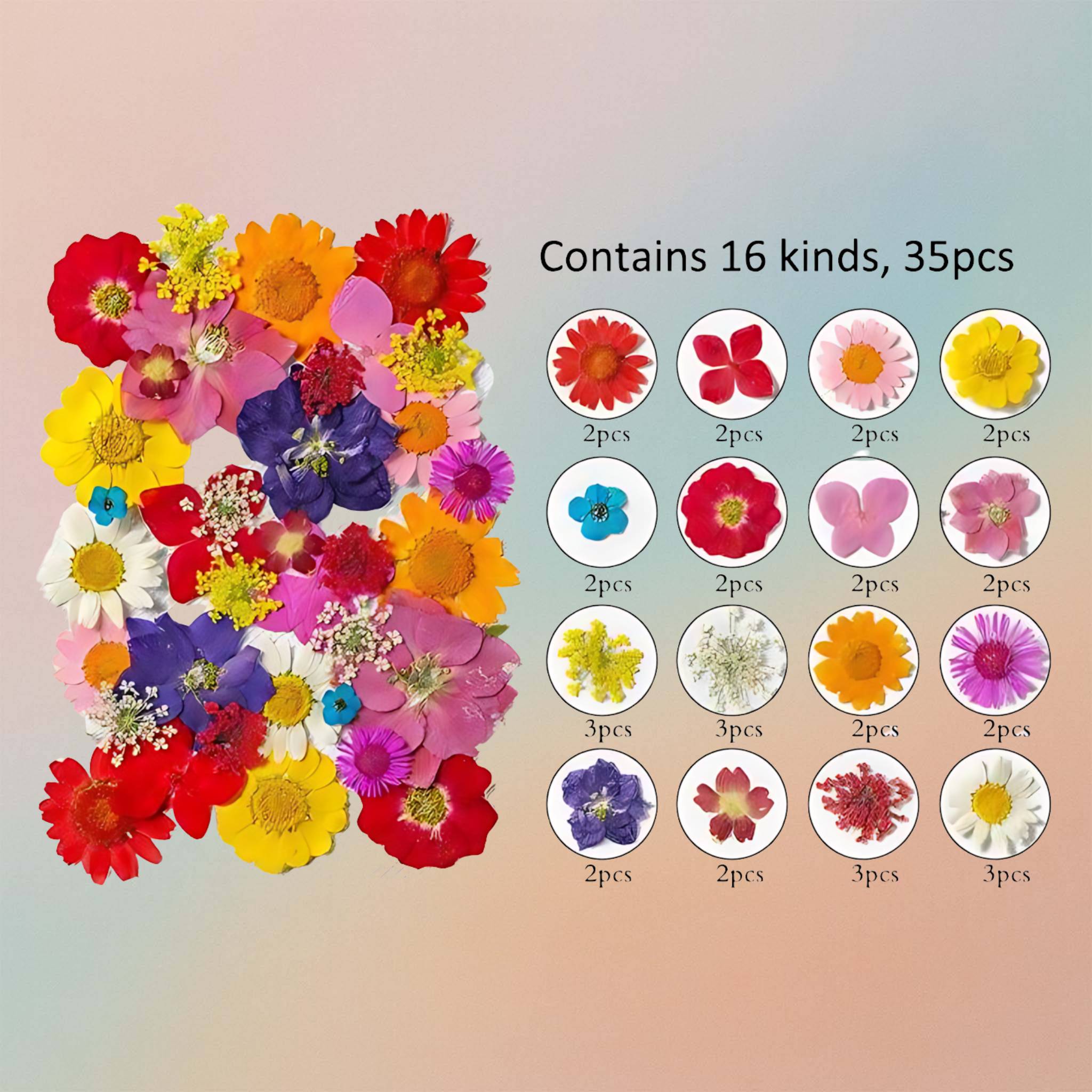 Pressed Flower – F67