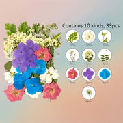 Pressed Flower – F68