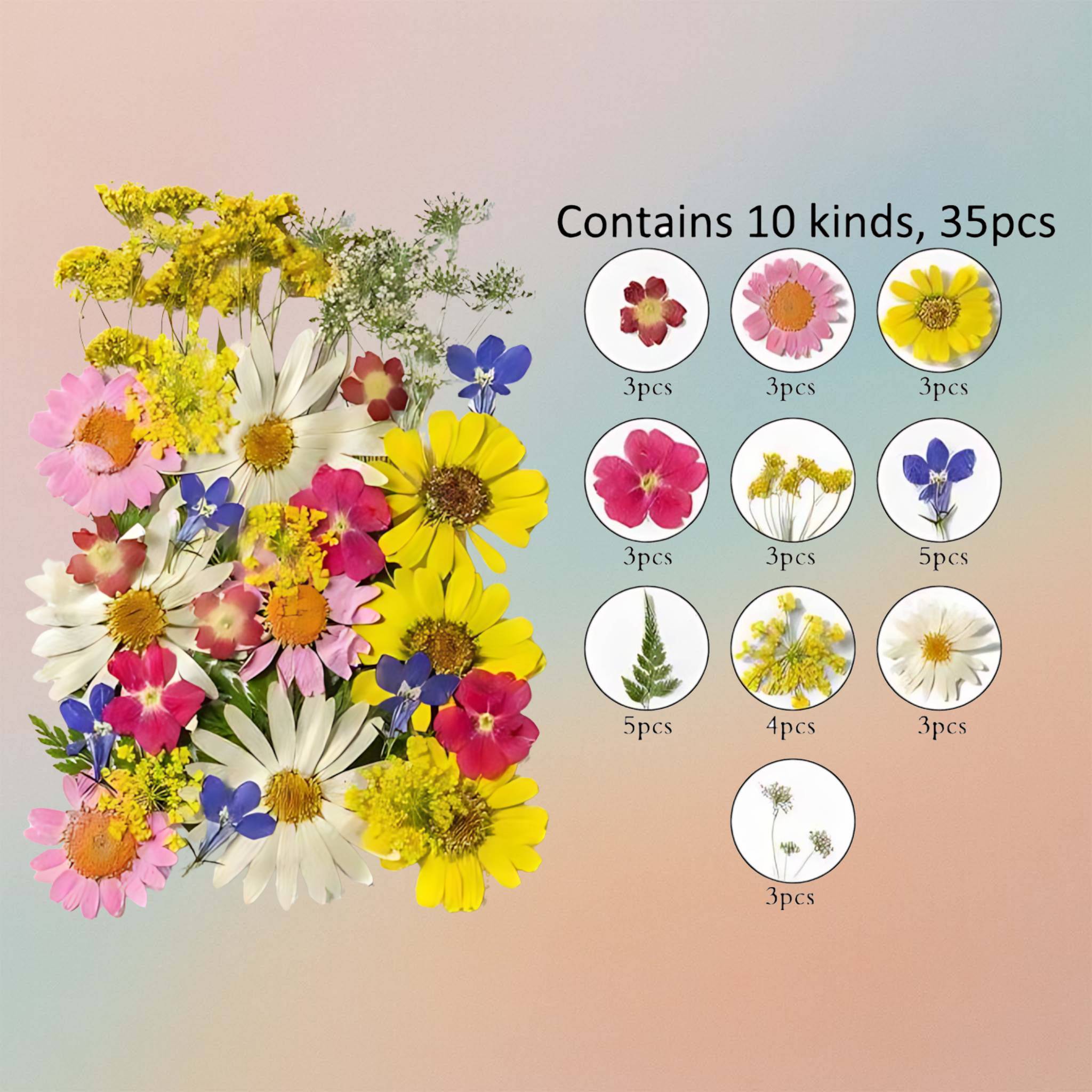 Pressed Flower – F69