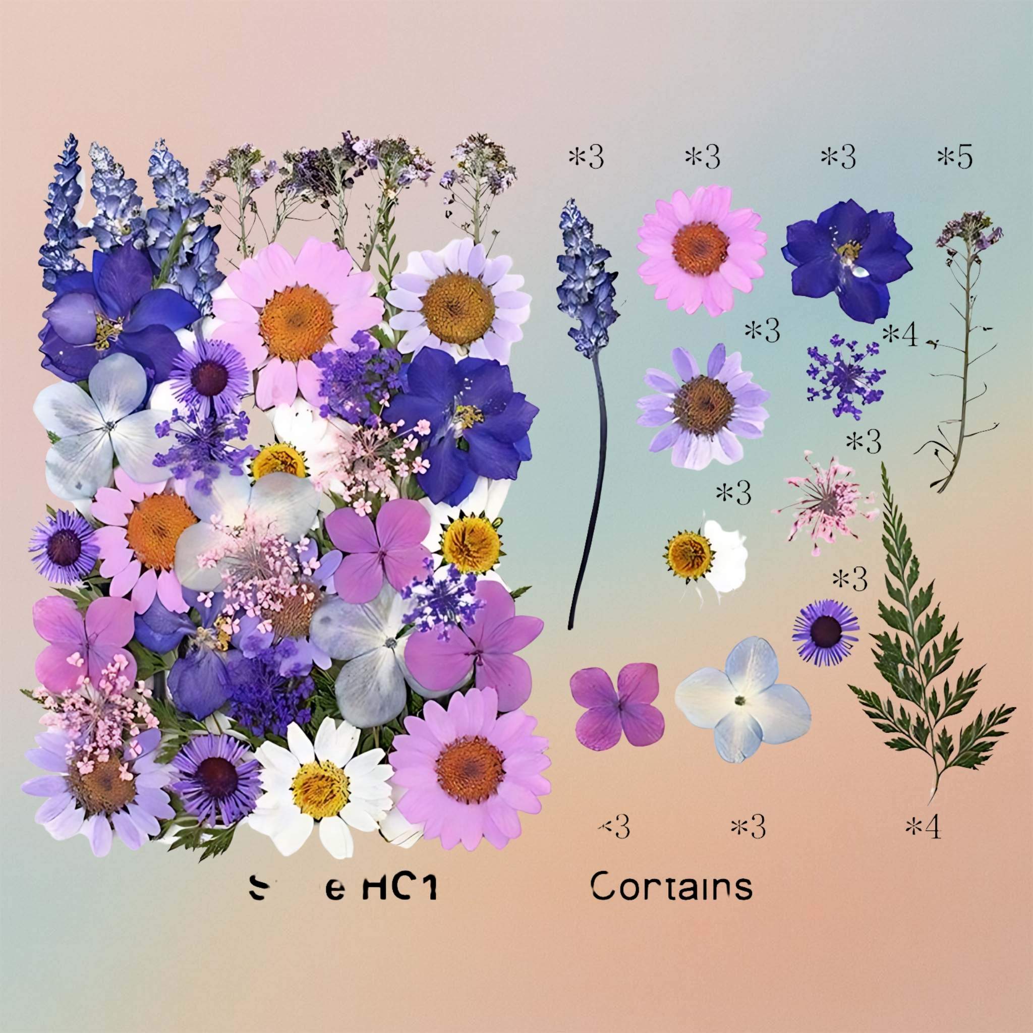 Pressed Flower – F70