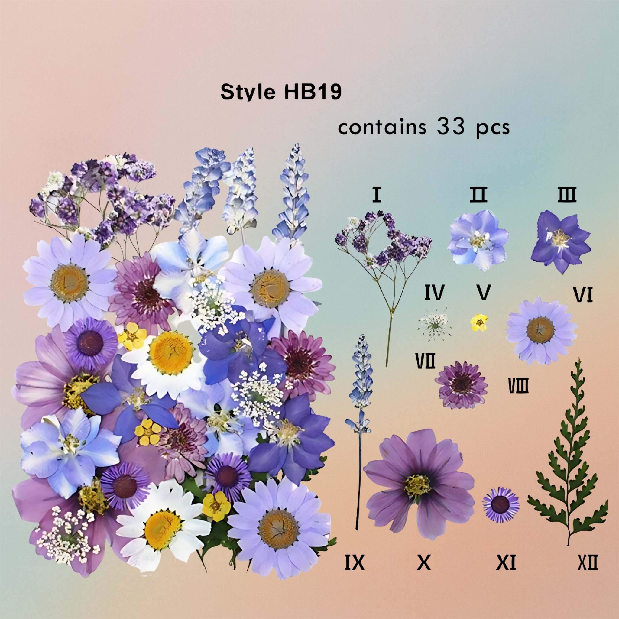 Pressed Flower – F71